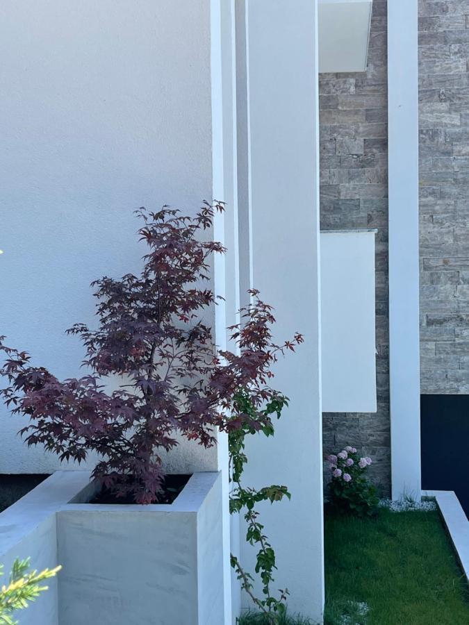 Villa Pine Бар Екстер'єр фото